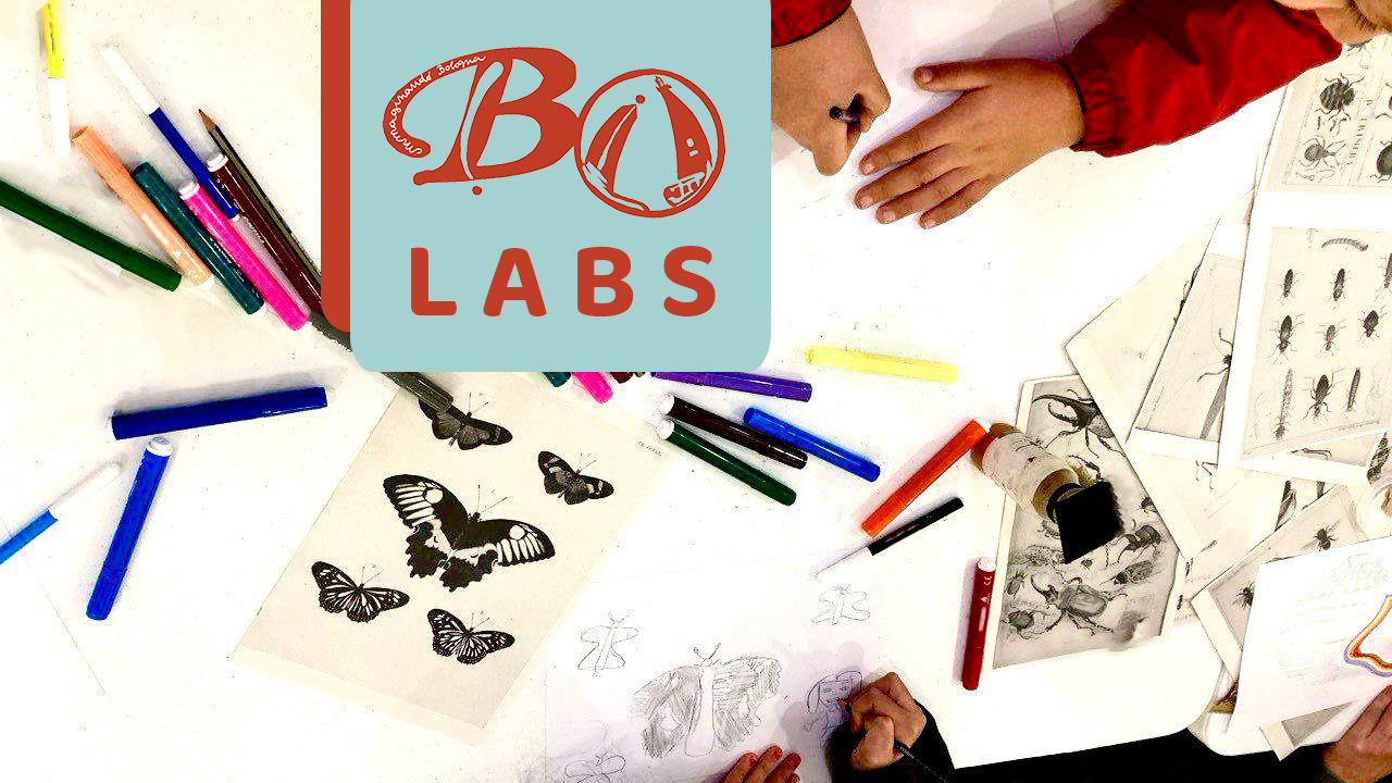BOit Labs: giving light to the future with new children’s illustration workshops